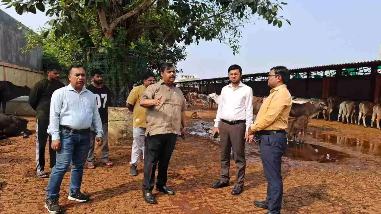 Lucknow में एबीसी सेंटर का नगर आयुक्त ने किया औचक निरीक्षण, गौशाला में टीन शेड बढ़ाने... Lucknow में एबीसी सेंटर का नगर आयुक्त ने किया औचक निरीक्षण, गौशाला में टीन शेड बढ़ाने...