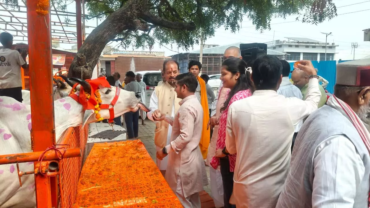 Ayodhya News: अयोध्या में गो पूजनोत्सव सम्पन्न, संतों और अधिकारियों ने की आरती Ayodhya News: अयोध्या में गो पूजनोत्सव सम्पन्न, संतों और अधिकारियों ने की आरती