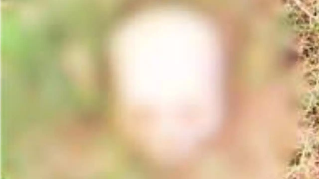 Sonbhadra News: ओबरा के जंगल में मिला लापता व्यक्ति का कंकाल, मचा हड़कंप Sonbhadra News: ओबरा के जंगल में मिला लापता व्यक्ति का कंकाल, मचा हड़कंप