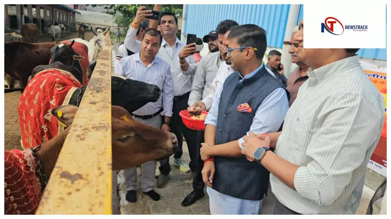 Aligarh News : अलीगढ़ में गोपाष्टमी पर भव्य आयोजन, महापौर व अधिकारियों ने की गौसेवा Aligarh News : अलीगढ़ में गोपाष्टमी पर भव्य आयोजन, महापौर व अधिकारियों ने की गौसेवा