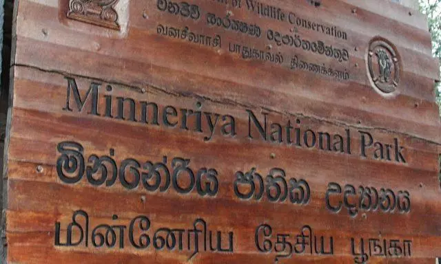 Minneriya National Park: सर्दियों में क्यों खास होता है श्रीलंका का मिनेरिया पार्क Minneriya National Park: सर्दियों में क्यों खास होता है श्रीलंका का मिनेरिया पार्क