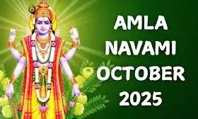 Amla Navami 2025: भगवान विष्णु-लक्ष्मी की कृपा पाने का पावन दिन, जानिए इसका महत्व Amla Navami 2025: भगवान विष्णु-लक्ष्मी की कृपा पाने का पावन दिन, जानिए इसका महत्व