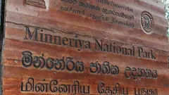 Minneriya National Park: सर्दियों में क्यों खास होता है श्रीलंका का मिनेरिया पार्क Minneriya National Park: सर्दियों में क्यों खास होता है श्रीलंका का मिनेरिया पार्क