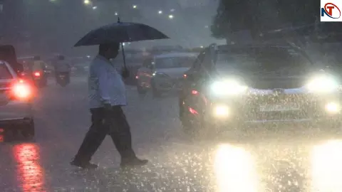 UP Weather