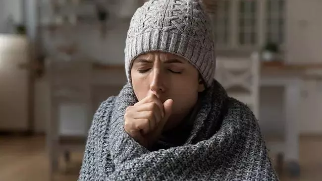 Top Winter Vegetables Top Winter Vegetables