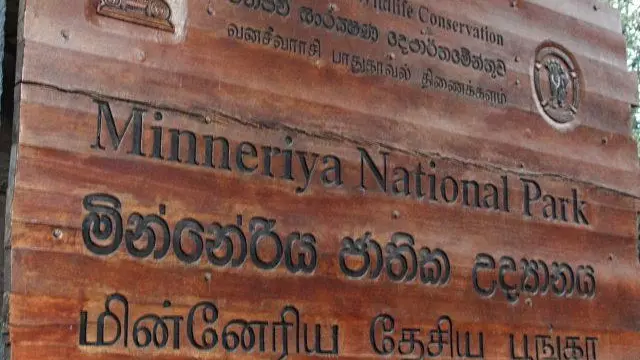 Minneriya National Park: सर्दियों में क्यों खास होता है श्रीलंका का मिनेरिया पार्क Minneriya National Park: सर्दियों में क्यों खास होता है श्रीलंका का मिनेरिया पार्क