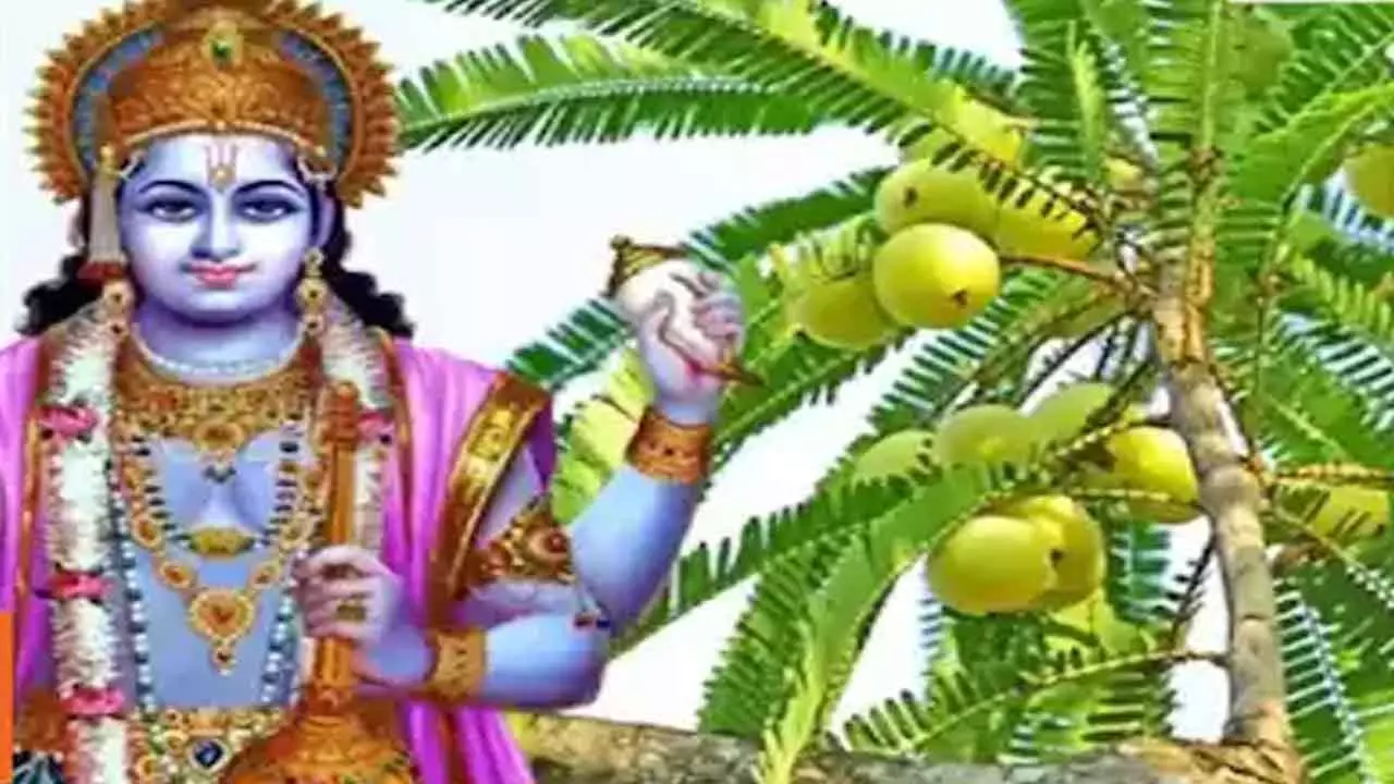 सतयुग की शुरुआत का दिन: अक्षय नवमी जो देती है अक्षय पुण्य और समृद्धि, जानिए इससे जुड़ी बातें.. सतयुग की शुरुआत का दिन: अक्षय नवमी जो देती है अक्षय पुण्य और समृद्धि, जानिए इससे जुड़ी बातें..