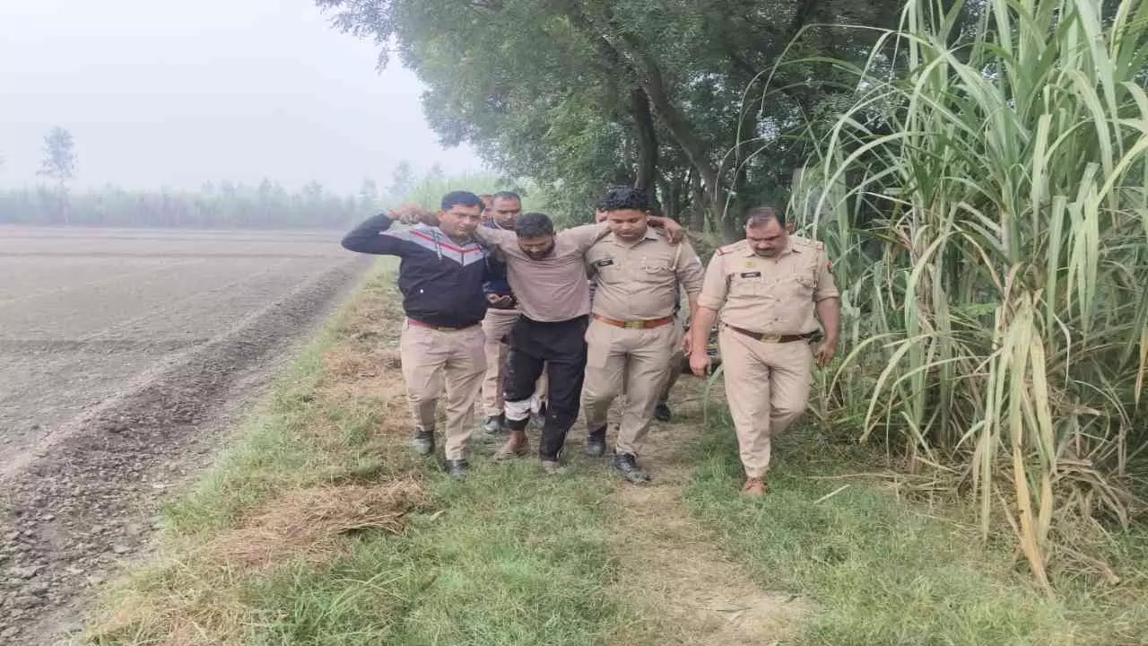 Shamli News: पुलिस मुठभेड़ में लंगड़ा हुआ अंतर्राज्य चैन स्नैचर Shamli News: पुलिस मुठभेड़ में लंगड़ा हुआ अंतर्राज्य चैन स्नैचर