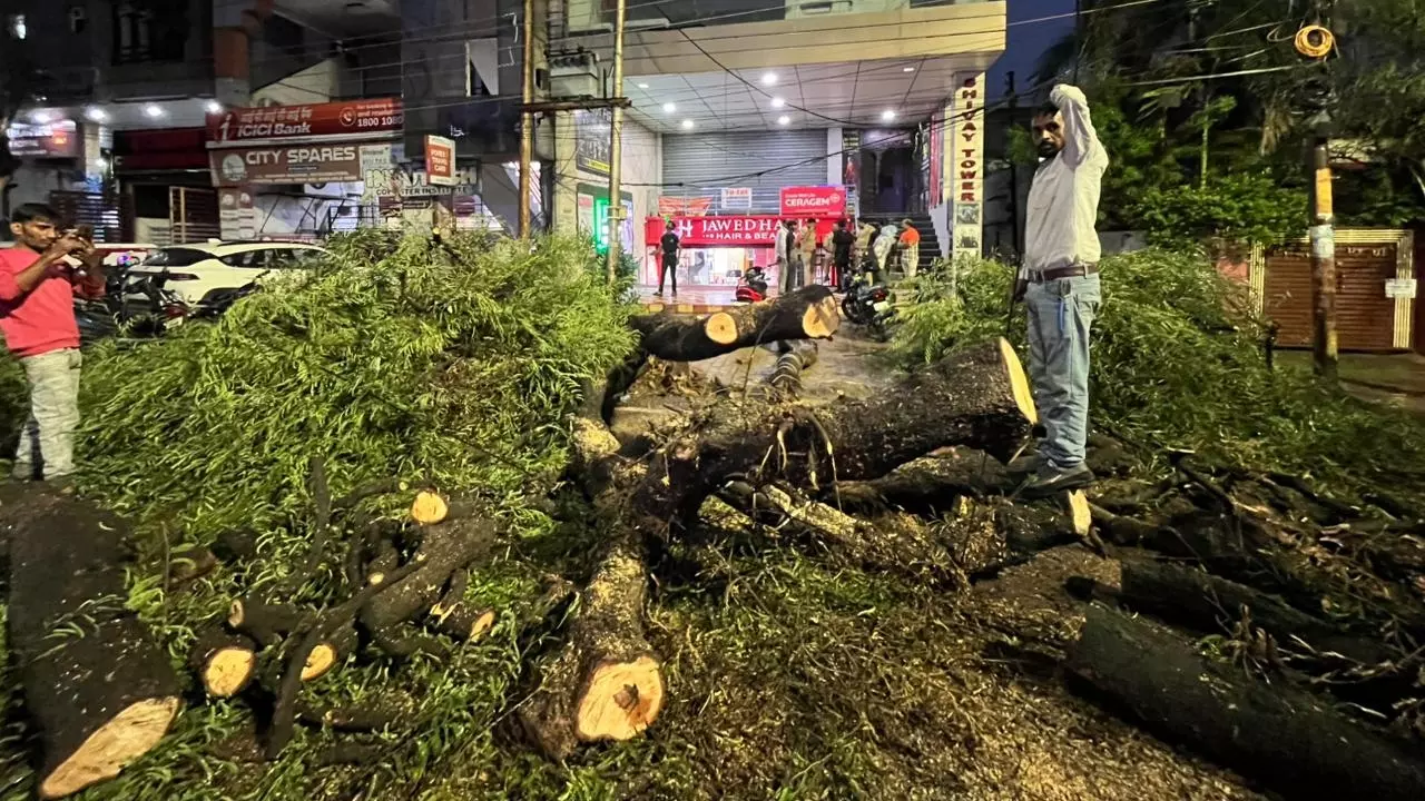 Lucknow News: बारिश के चलते सीतापुर रोड पर गिरा विशालकाय पेड़, दो घंटे तक जाम में फंसे रहे राहगीर Lucknow News: बारिश के चलते सीतापुर रोड पर गिरा विशालकाय पेड़, दो घंटे तक जाम में फंसे रहे राहगीर