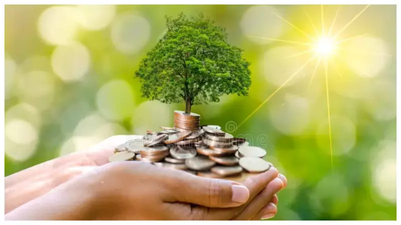 Best Saving Schemes in India: पैसों को सुरक्षित रखकर बढ़ाने वाली टॉप 5 सरकारी सेविंग योजनाएं Best Saving Schemes in India: पैसों को सुरक्षित रखकर बढ़ाने वाली टॉप 5 सरकारी सेविंग योजनाएं