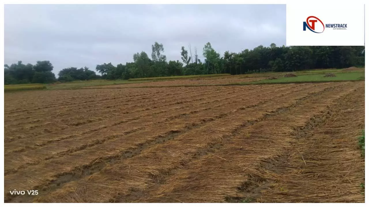 Basti News : मोंथा चक्रवात से यूपी में तबाही: बस्ती के किसानों की धान-गन्ना फसलें बर्बाद Basti News : मोंथा चक्रवात से यूपी में तबाही: बस्ती के किसानों की धान-गन्ना फसलें बर्बाद