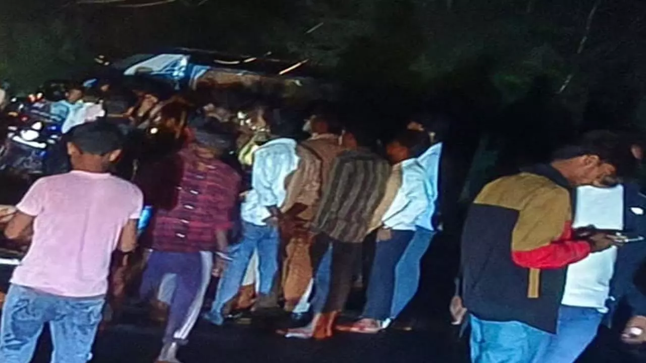 Sheep rounded up by truck on National Highway, 150 killed Sheep rounded up by truck on National Highway, 150 killed