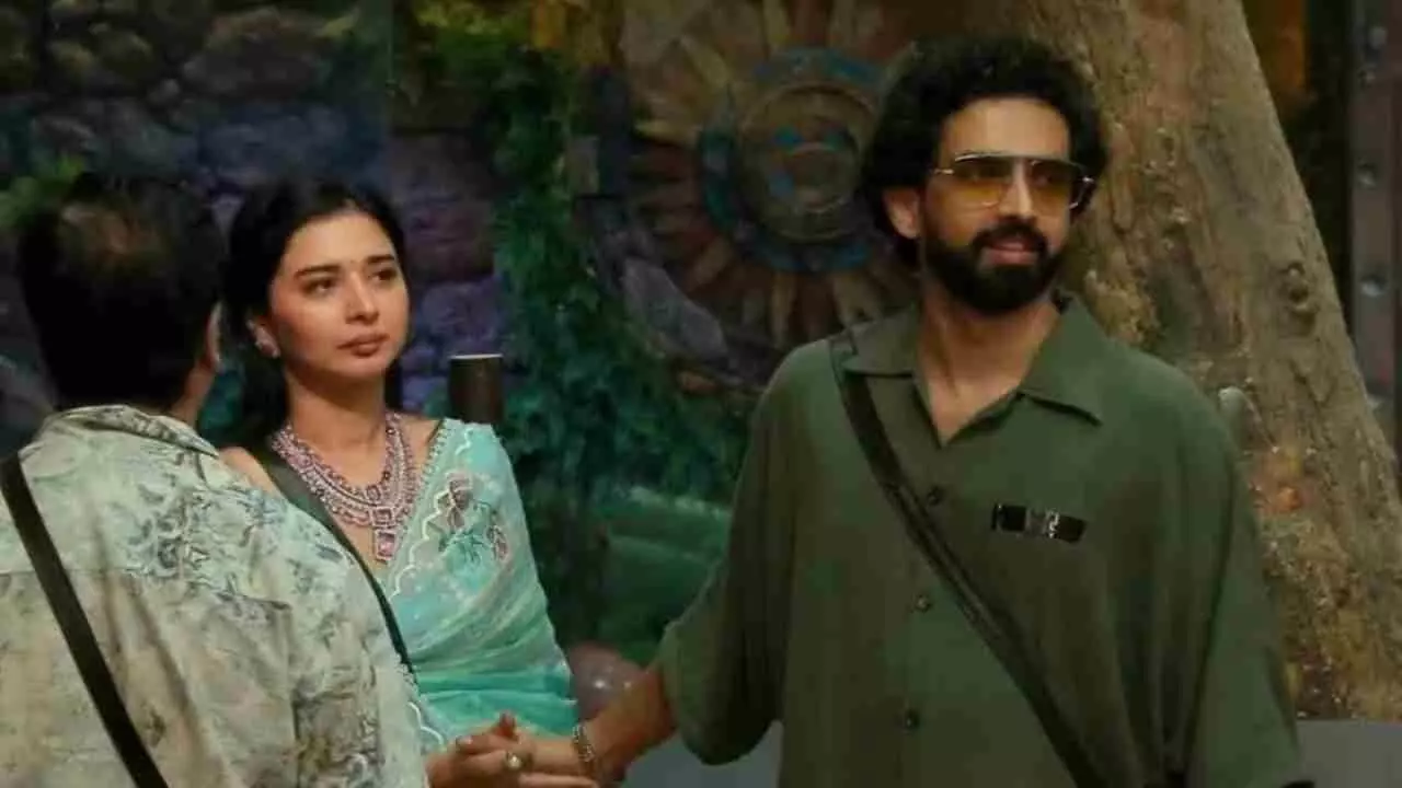 Bigg Boss 19 Tanya Mittal-Amaal Mallik