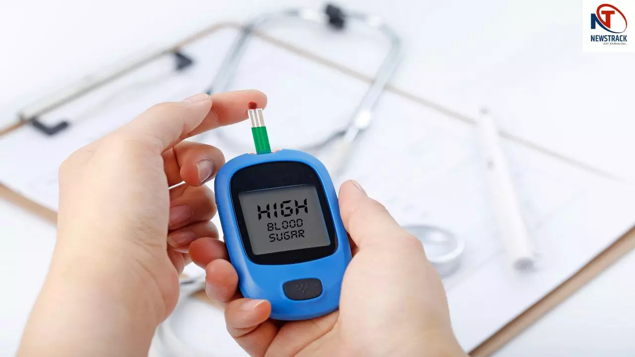 शुगर पर लगेगा लगाम! Diabetes मरीजों के लिए किसी वरदान से कम नहीं ये जड़ी-बूटी, कम करेगी मीठे की क्रेविंग शुगर पर लगेगा लगाम! Diabetes मरीजों के लिए किसी वरदान से कम नहीं ये जड़ी-बूटी, कम करेगी मीठे की क्रेविंग