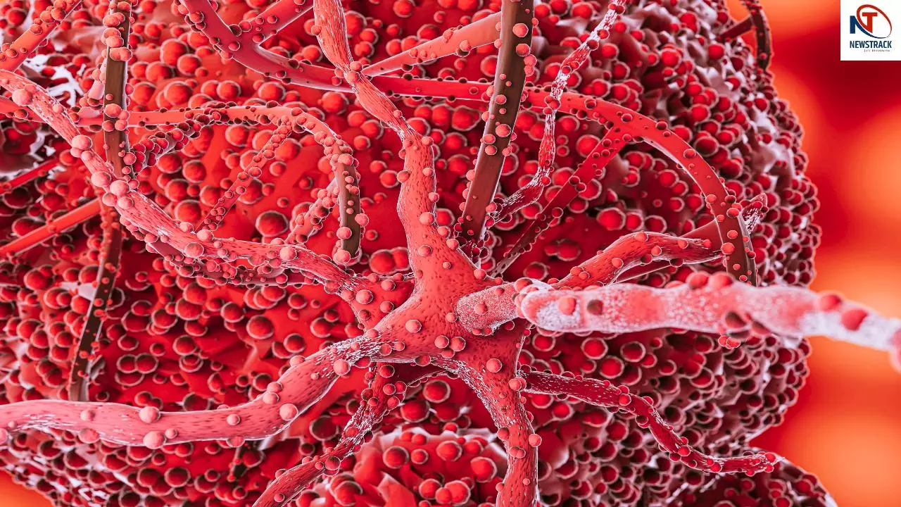 Anti-Cancer Foods Anti-Cancer Foods