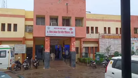 Etawah News: इटावा जिला अस्पताल के रैन बसेरे पर आवारा कुत्तों का कब्ज़ा, पेयजल सुविधा बिगड़ी Etawah News: इटावा जिला अस्पताल के रैन बसेरे पर आवारा कुत्तों का कब्ज़ा, पेयजल सुविधा बिगड़ी