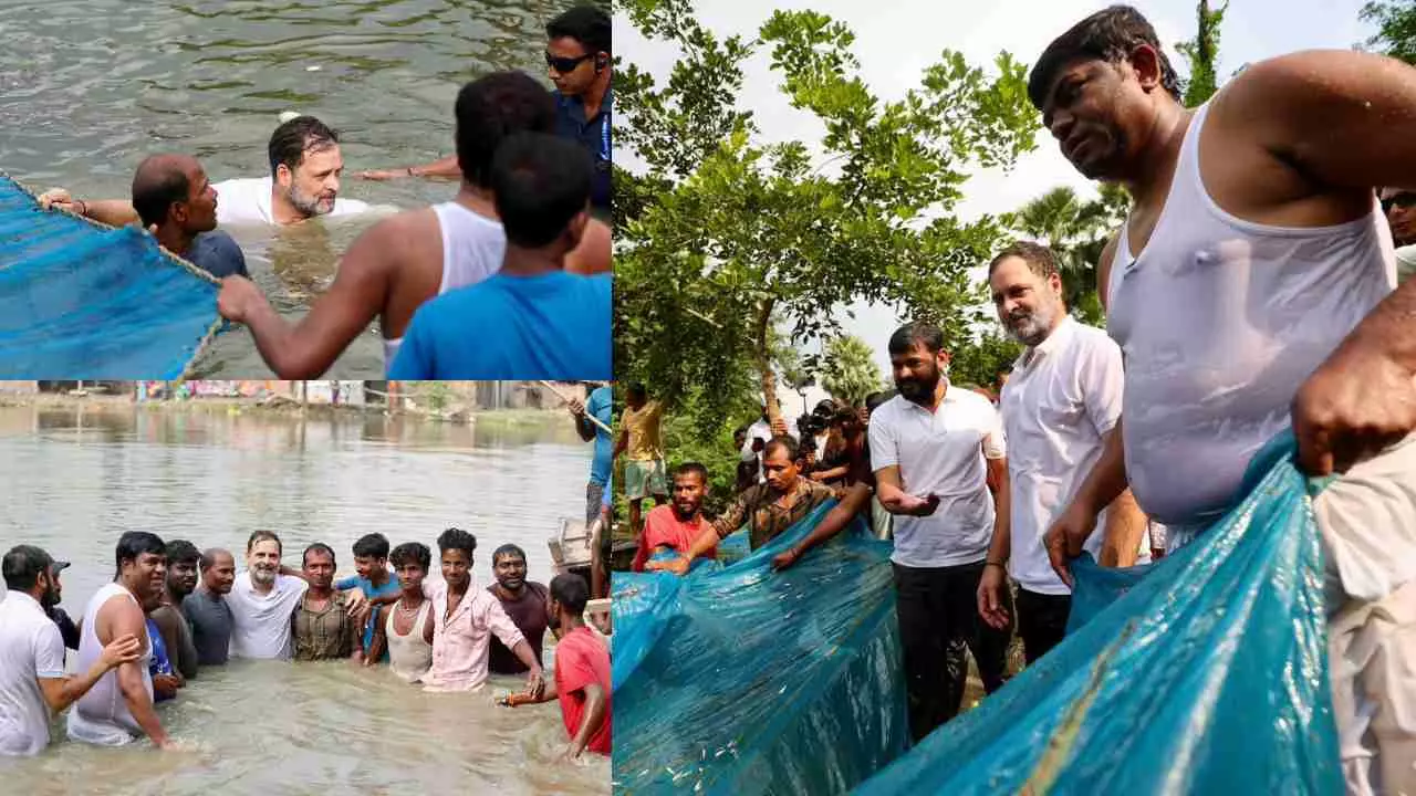 LOP Rahul Gandhi in Bihar Election 2025