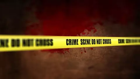 Gujarat Crime News Gujarat Crime News