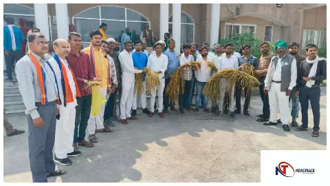 Chitrakoot News : असमय बारिश से चित्रकूट में धान की फसल तबाह, किसानों ने मांगा राहत व मुआवजा