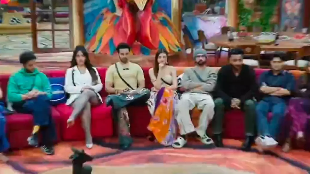 Bigg Boss 19 Captain Bigg Boss 19 Captain