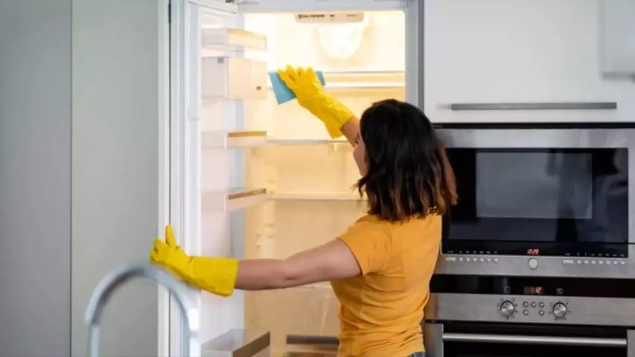 Fridge Cleaning Tips Guide
