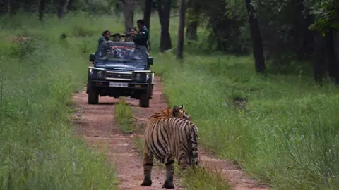 Jungle Safari Plan: नवंबर में इन 6 जगहों पर मिलेगा नेचर और एडवेंचर का बेस्ट कॉम्बो