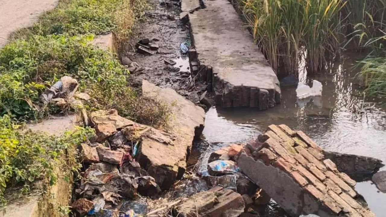 Chandauli News: DM का आदेश दरकिनार, सिंचाई विभाग की लापरवाही से बर्बाद हो रही किसानों की फसल Chandauli News: DM का आदेश दरकिनार, सिंचाई विभाग की लापरवाही से बर्बाद हो रही किसानों की फसल