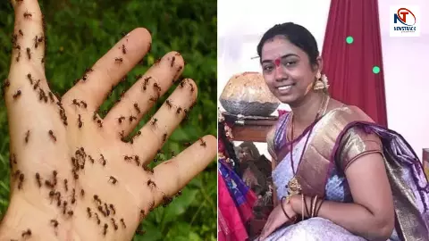 सिर्फ चींटियों के डर से मौत! 25 साल की माँ ने उठाया खौफनाक कदम, सुसाइड नोट में लिखी आखिरी बात