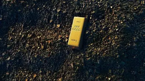 Pakistan Gold Mine Claim Pakistan Gold Mine Claim