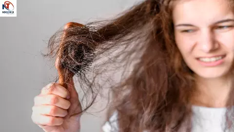 Hair Fall Tips