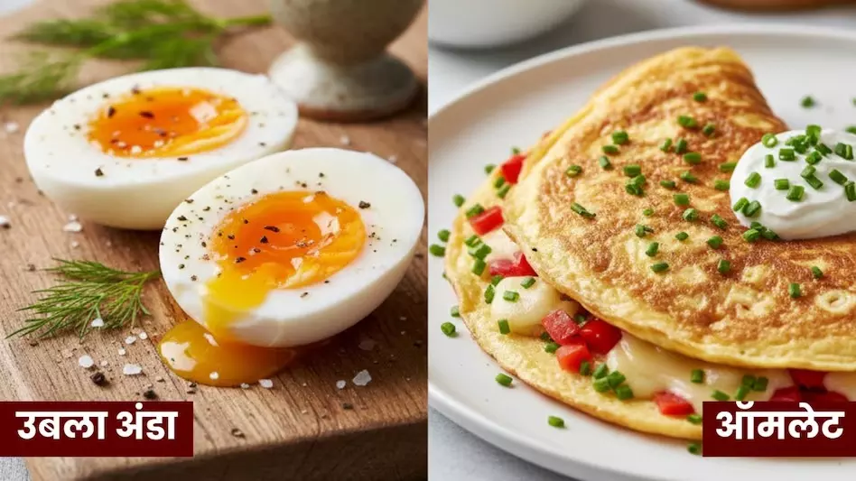 Boiled Egg VS Omelette For Weight Loss