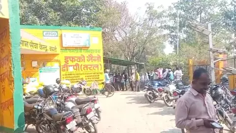 Basti News: डीएपी खाद संकट गहराया, किसान परेशान, प्रशासन अलर्ट