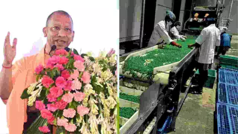 यूपी में तेजी से बढ़ रहे उद्योग, लाखों युवाओं को मिला रोजगार यूपी में तेजी से बढ़ रहे उद्योग, लाखों युवाओं को मिला रोजगार