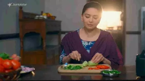 Madhuri Dixit Web Series Mrs Deshpande