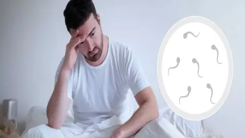 Male Fertility Decline