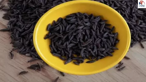 Kali Jiri Benefits