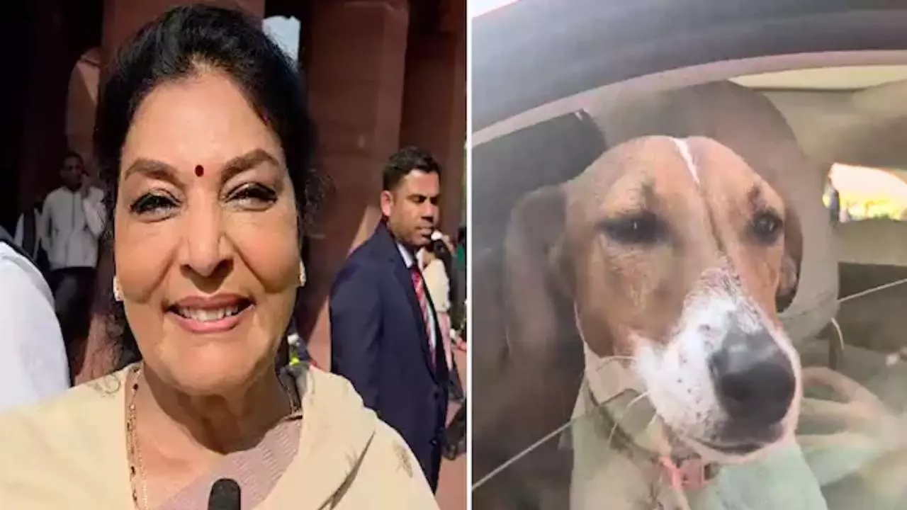 Congress MP Renuka Chowdhury Creates Stir by Bringing Pet Dog to  Parliament; BJP Demands Action | संसद में पालतू कुत्ता! अपना डॉग लेकर  पार्लियामेंट पहुंची कांग्रेस सांसद, जमकर हुआ ...