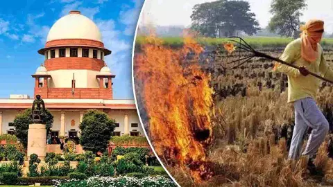 पराली की आग से ध्यान हटाओ! प्रदूषण रोकने के उपाय बताओ, सुप्रीम कोर्ट का सख्त निर्देश पराली की आग से ध्यान हटाओ! प्रदूषण रोकने के उपाय बताओ, सुप्रीम कोर्ट का सख्त निर्देश