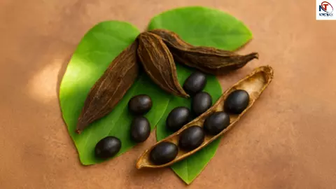 Krounch Beej Benefits