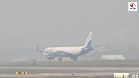 आपकी फ्लाइट कैंसिल हो गई... Indigo का कबूलनामा: अभी उड़ानें समय पर मुश्किल; दिल्ली एयरपोर्ट ने जारी की अर्जेंट एडवाइजरी