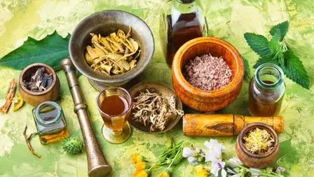 Ayurveda in Russia