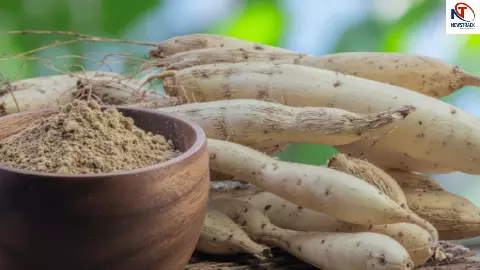 Shatavari Benefits