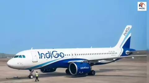 Indigo CEO को DGCA का अल्टीमेटम! 24 घंटे में जवाब दो, वरना लगेगा भारी जुर्माना; क्यों रद्द हुईं सैकड़ों उड़ानें?