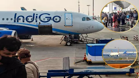 IndiGo Crisis