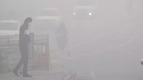 Today Weather Forecast