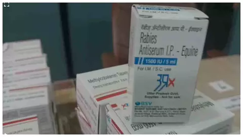 Raebareli News : रायबरेली जिला अस्पताल में अब एंटी-रैबीज सीरम भी निशुल्क, लग रही है Raebareli News : रायबरेली जिला अस्पताल में अब एंटी-रैबीज सीरम भी निशुल्क, लग रही है