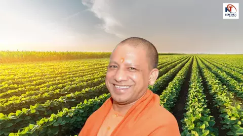 योगी आदित्यनाथ ने यूपी में किसान पाठशाला शुरू की, 1.9 करोड़ किसानों की आय और आधुनिक खेती बढ़ाई योगी आदित्यनाथ ने यूपी में किसान पाठशाला शुरू की, 1.9 करोड़ किसानों की आय और आधुनिक खेती बढ़ाई