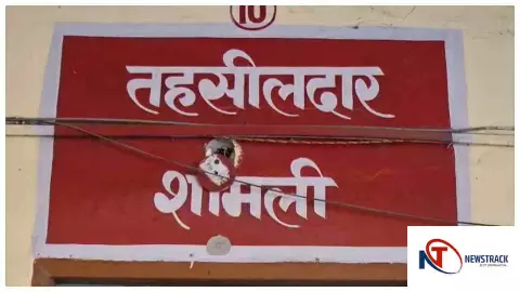 Shamli News : शामली तहसीलदार कार्यालय के बाहर मिला ज़हरीला रसेल वाइपर, वन विभाग ने किया रेस्क्यू