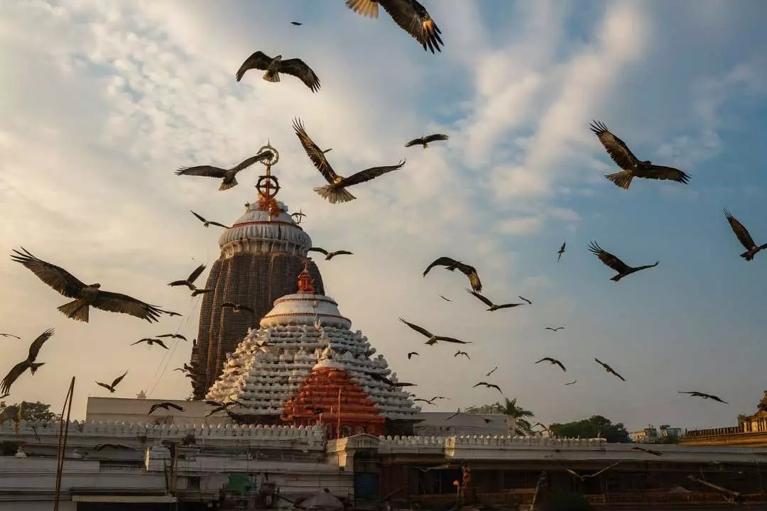 Bhavishya Malika Link: पुरी जगन्नाथ धाम में दिखा अजीब नज़ारा! शिखर के ऊपर मंडराती चीलों से मची हलचल