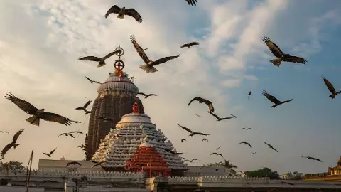 Bhavishya Malika Link: पुरी जगन्नाथ धाम में दिखा अजीब नज़ारा! शिखर के ऊपर मंडराती चीलों से मची हलचल